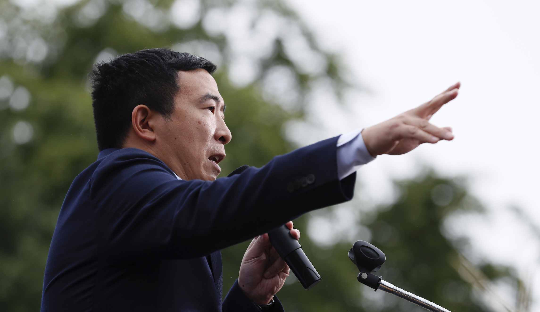 Andrew Yang just uttered the quote of the Trump era