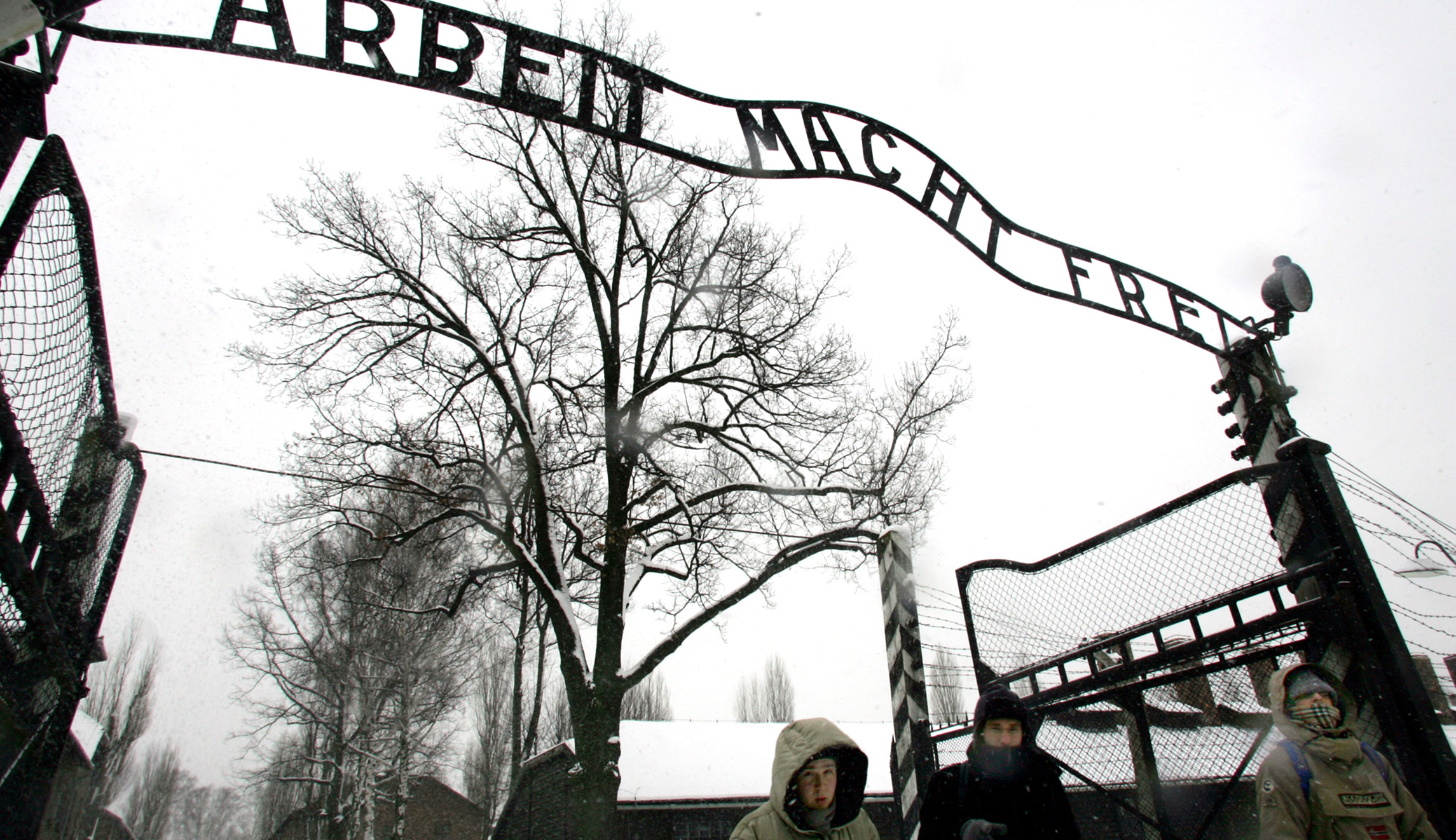 ‘Anger, to peaceful resolution’: US government lawyer posts haunting portraits of Holocaust survivors