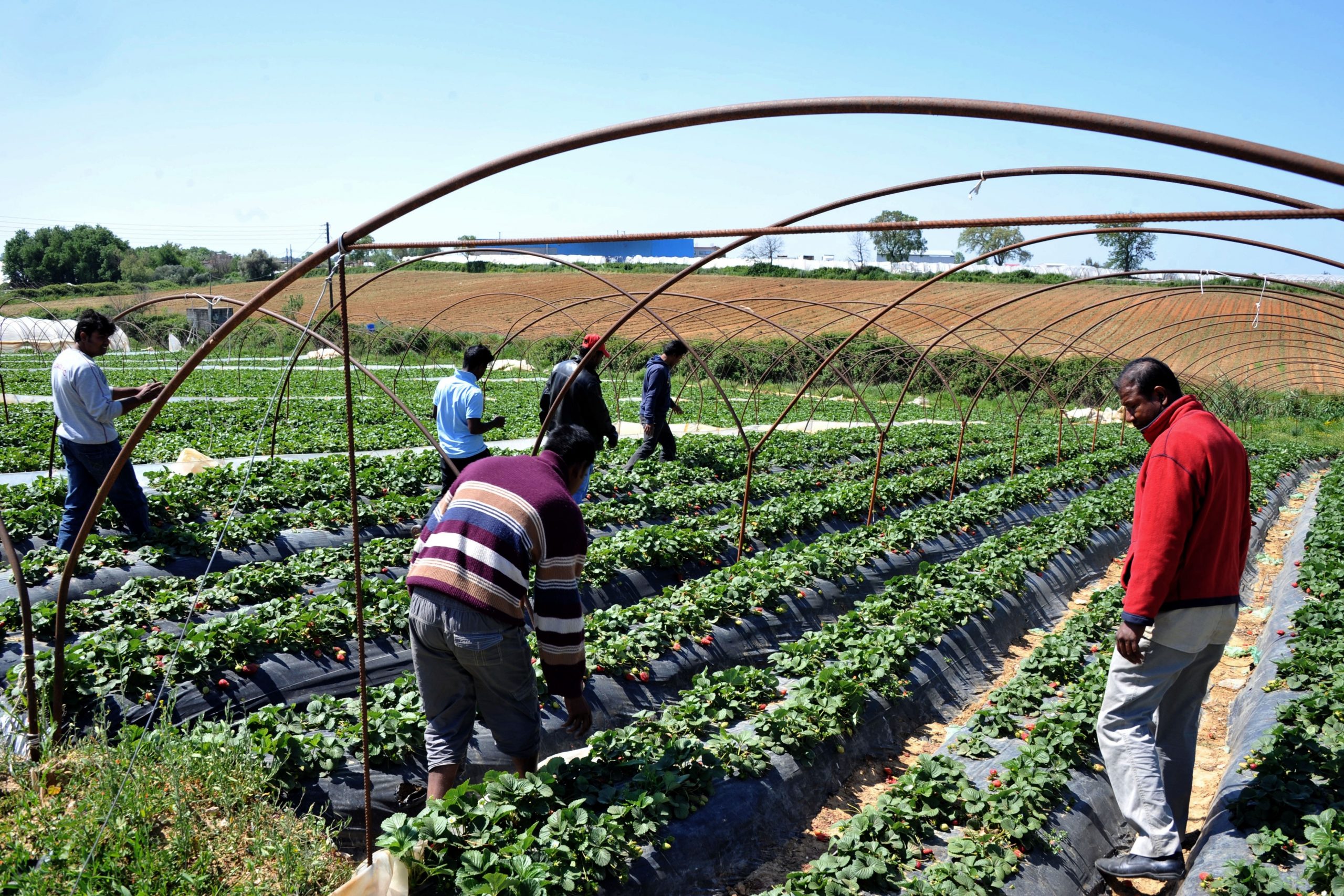 Feds expand investigations into companies that may be hiring immigrants without work papers