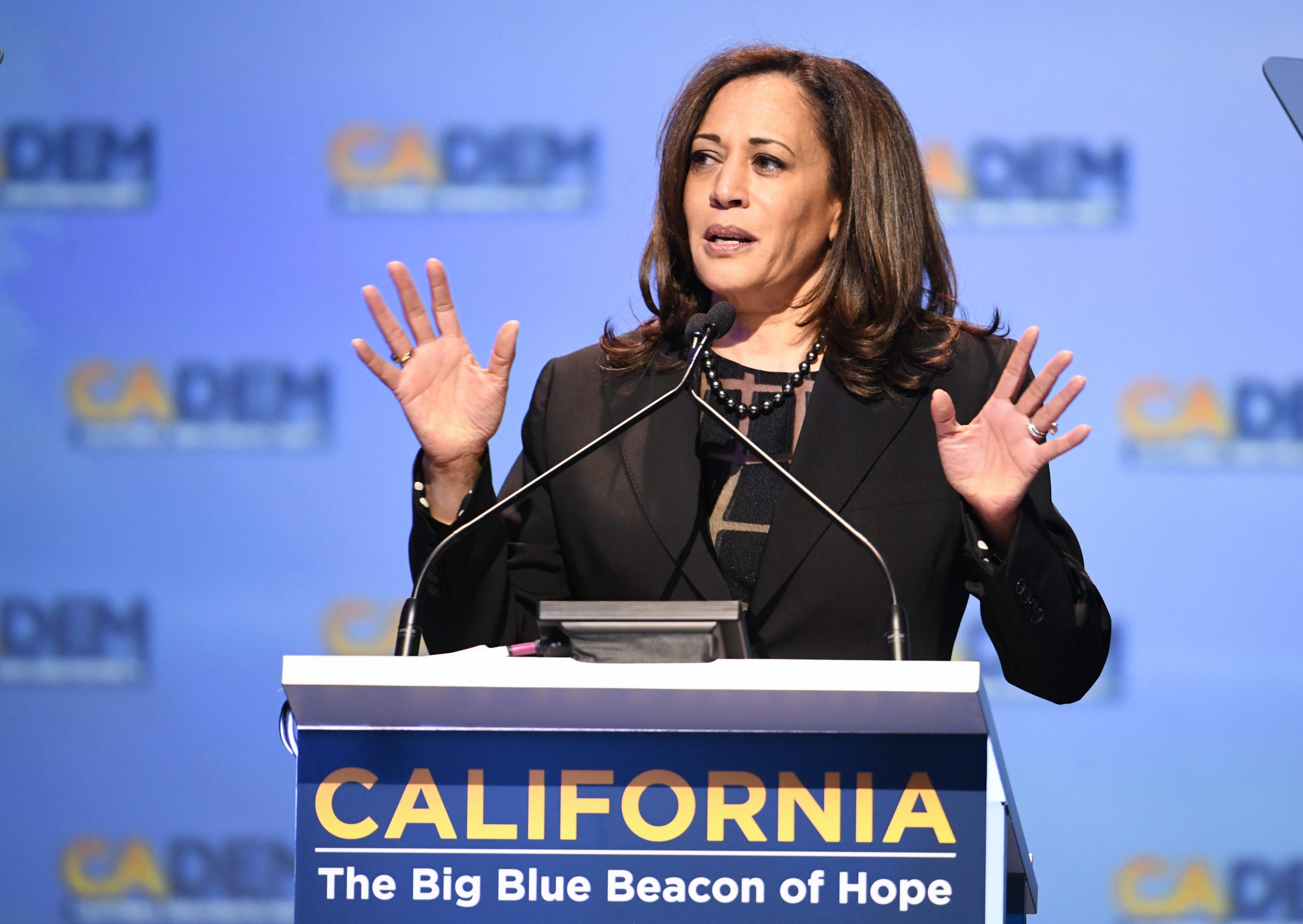 Kamala Harris seen as top 2020 Democrat by GOP