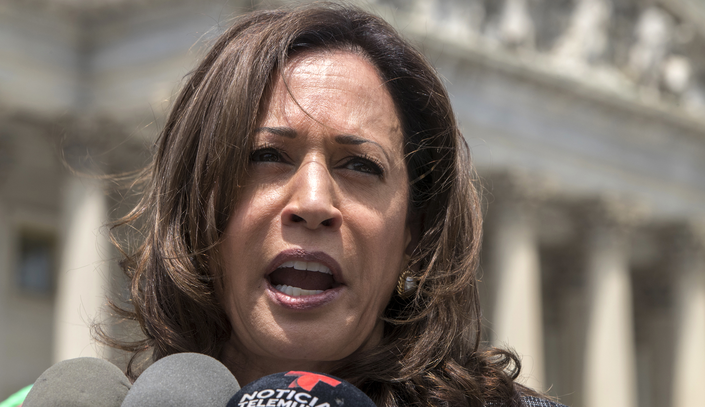 Kamala Harris, czar of disinformation