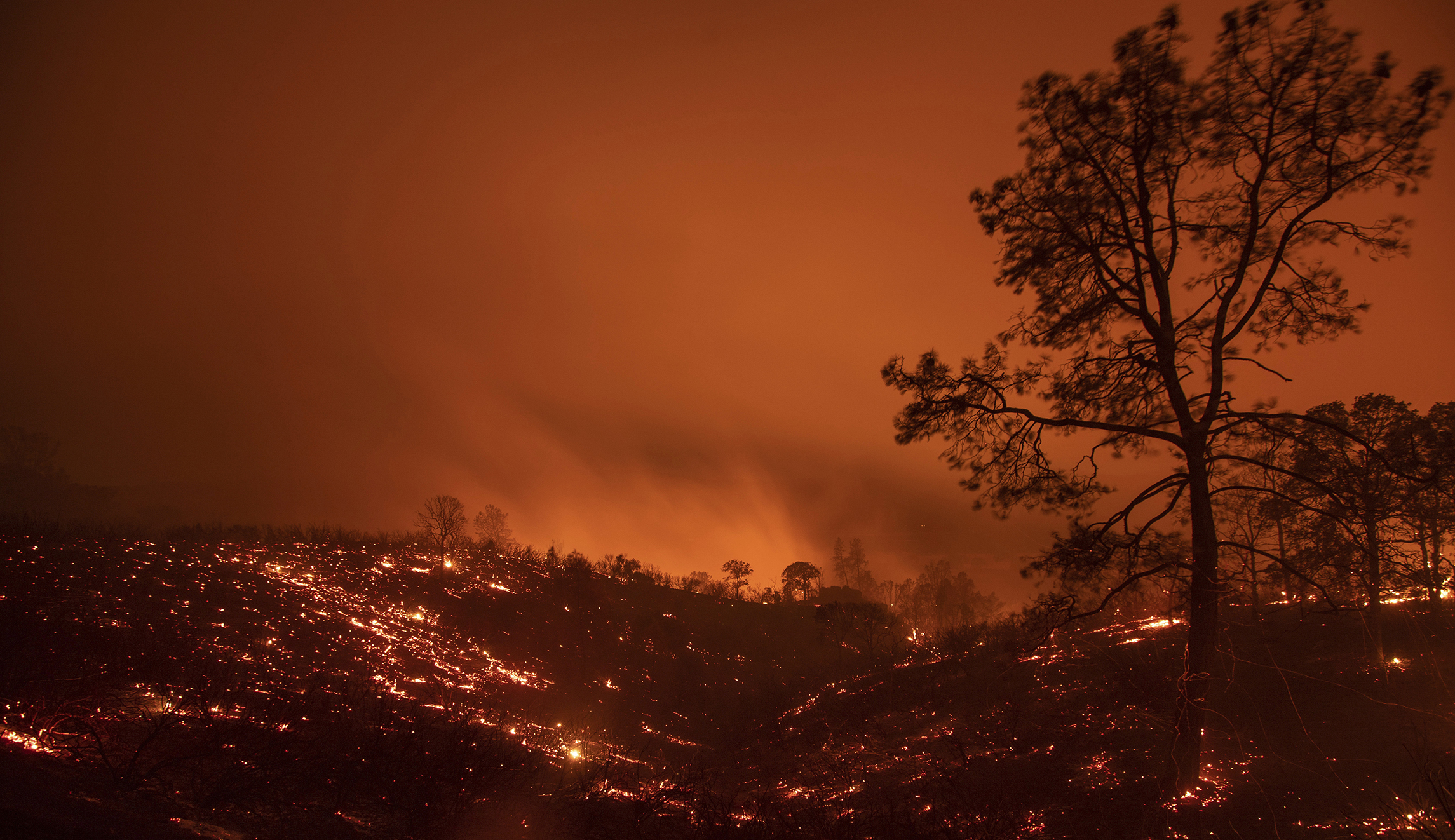 Trump blames California for its wildfires, not climate change
