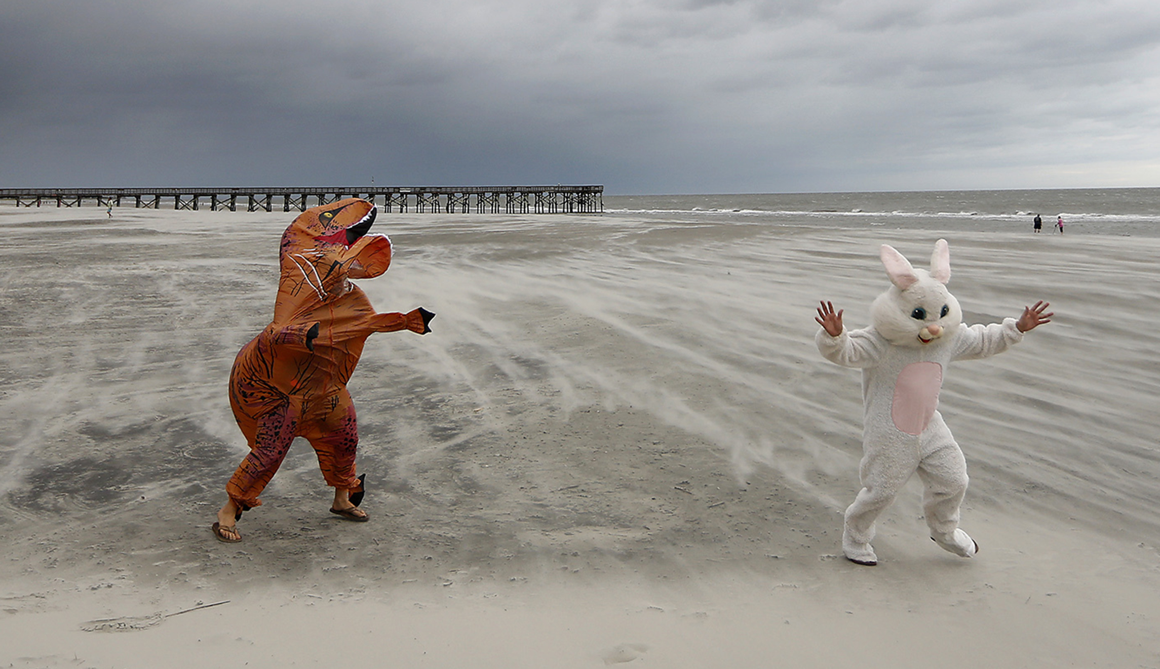 Two beach goers decided to dress up as the Easter Bunny and a T-Rex and experience the strong wind and blowing sand as Tropical Storm Florence approaches the Isle of Palms, S.C., Friday.