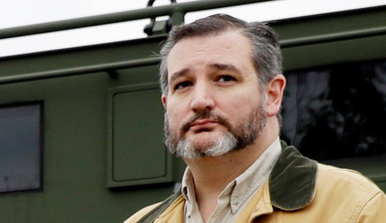 Sen. Ted Cruz, R-Texas, is pictured.