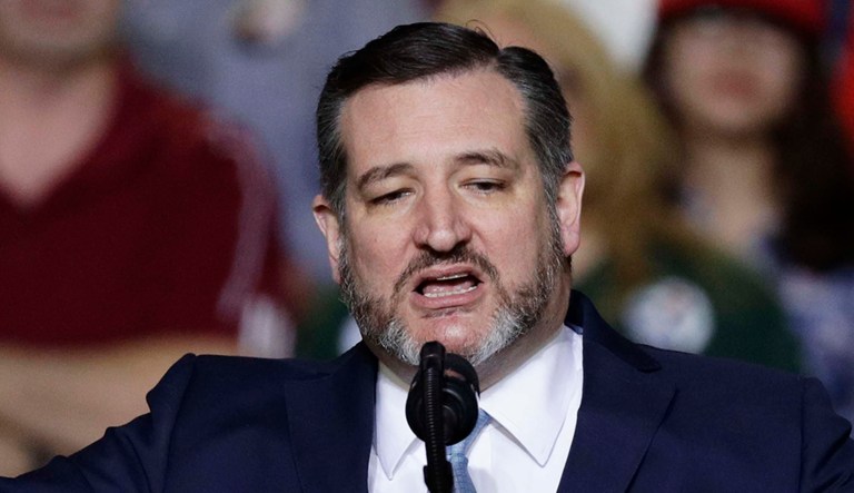 Sen. Ted Cruz, R-Texas, address a crowd.