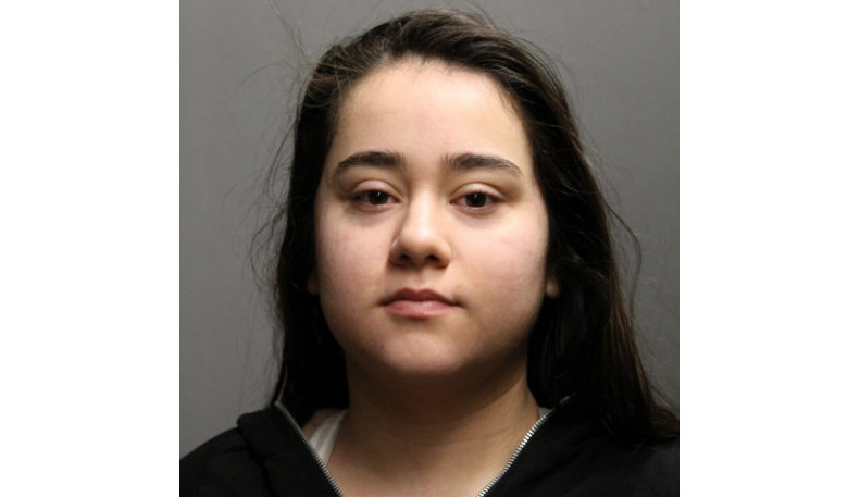 Woman, 19, who shot Chicago cop had been freed on bail after being found with pump-action shotgun