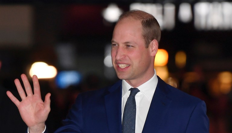 ‘Not a huge fan’: Prince William demanded royal family boot Prince Andrew over Epstein
