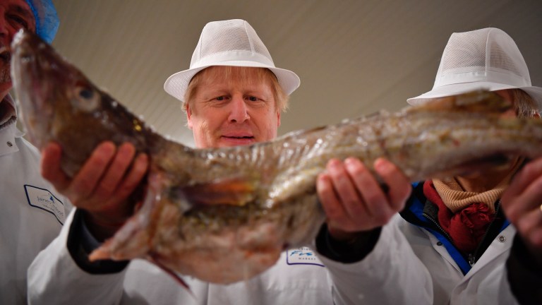 Boris Johnson hammers political elites as he launches final election push