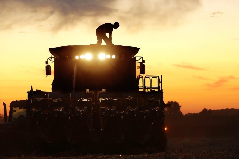 A central Illinois corn farmer, on top of his combine, is silhouetted against the setting sun while harvesting corn Saturday, Sept. 27, 2014, in Pleasant Plains, Ill. Wet, cool conditions across much of Illinois have put farmers behind schedule in bringing their corn in from the fields. Illinois' corn harvest continues to lag at a pace roughly one-quarter of the average over the previous five years, according to the U.S. Department of Agriculture's latest weekly update. 