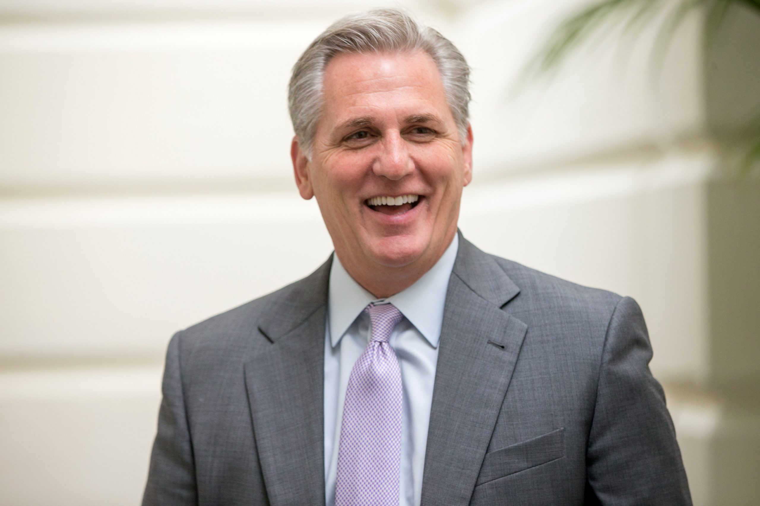Kevin McCarthy Majority Leader