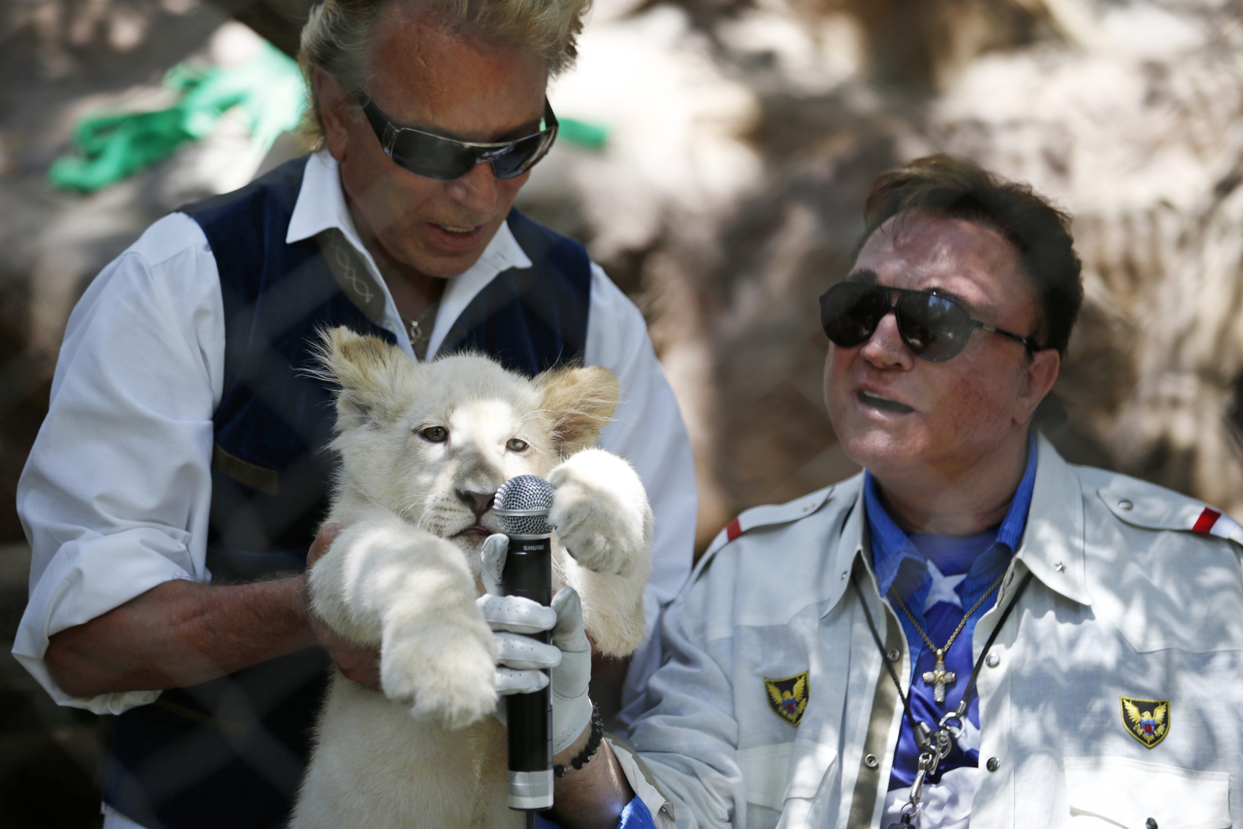 Siegfried Fischbacher, left, holds up a white lion cub as Roy Horn holds up a microphone on July 17, 2014, in Las Vegas.