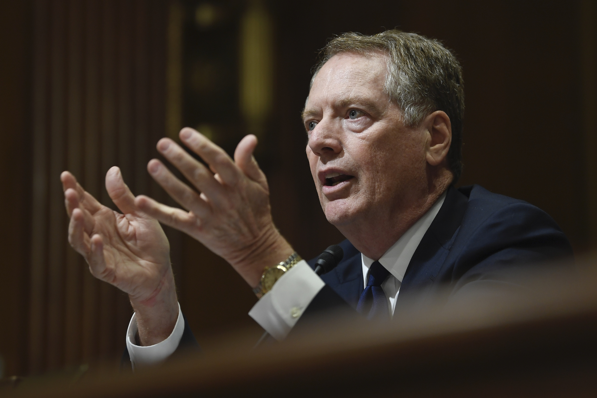 Lighthizer says climate change language would undermine trade deals