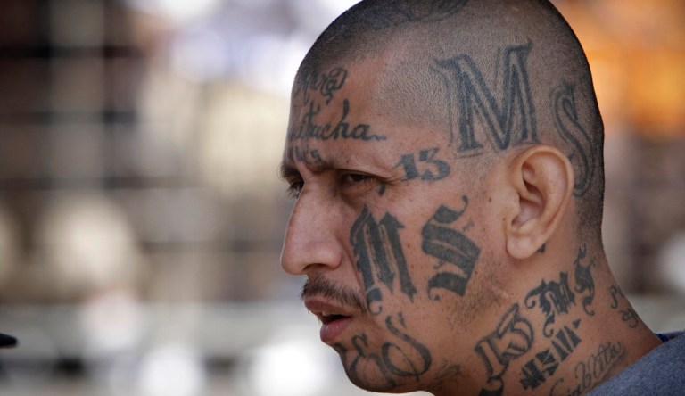 Gang task force disbanded as MS-13 strikes again outside Washington