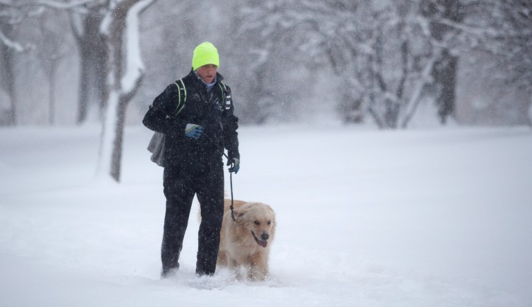 A jogger and his dog battle high winds and snow as a winter storm rolls through early Monday, Jan. 28, 2019, in Denver. 