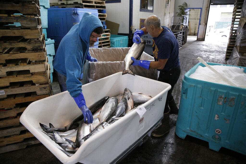 FDA redefines what can be labeled ‘healthy’: Salmon is in, white bread is not