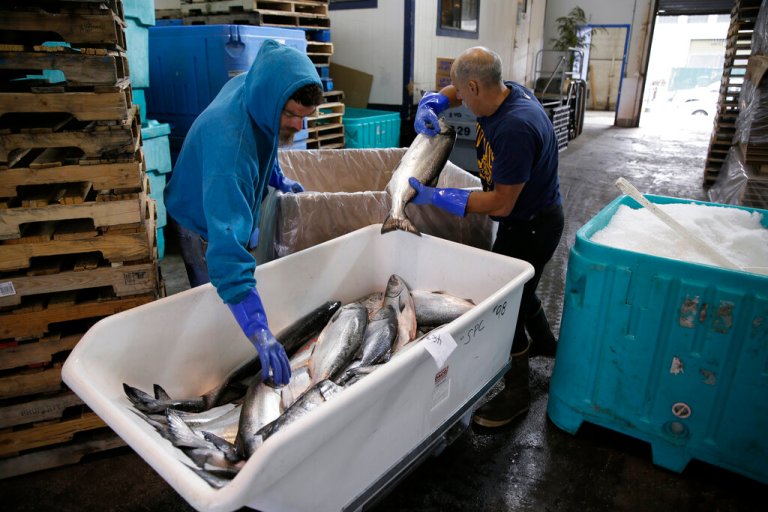 In this photo taken Monday, July 22, 2019, Mark Adams, right, unloads chinook salmon inside a cooperative at Fisherman's Wharf in San Francisco.