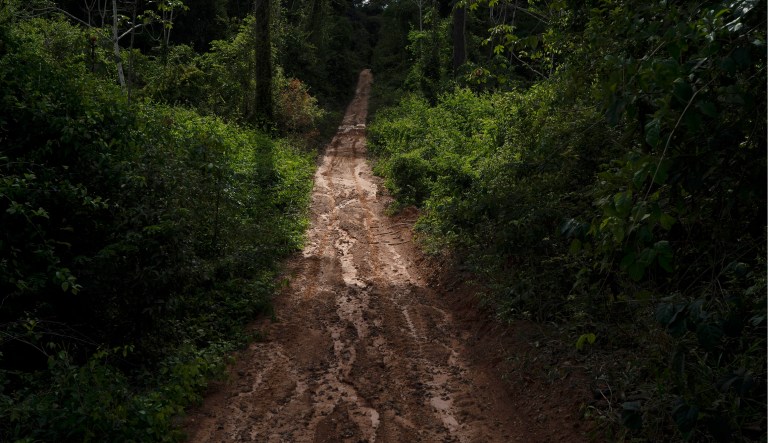 2020 wasn’t all bad: There’s good news about climate change