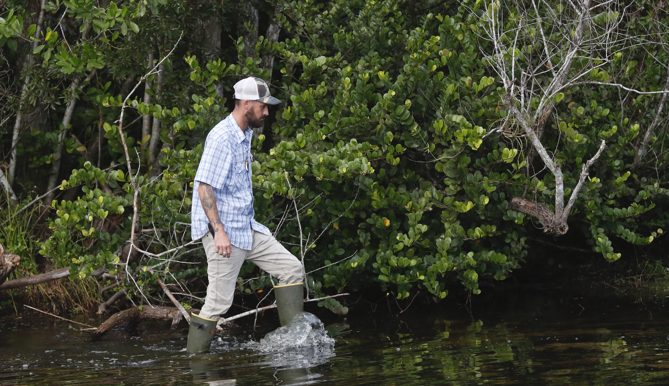Bowhunting helps fund environmental protection, management in Illinois