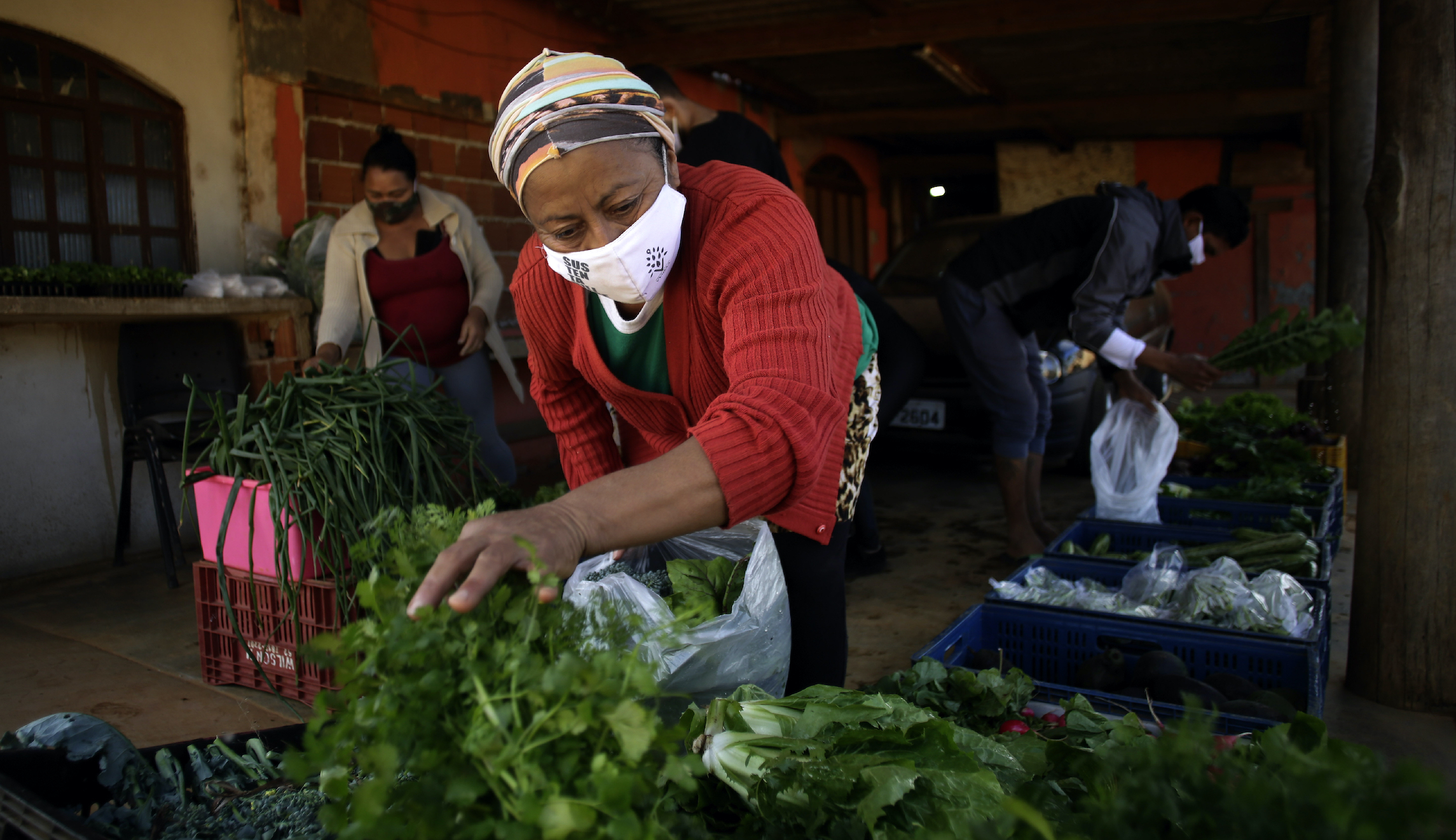 Brazil: A vision of low-carbon agriculture and environmental conservation