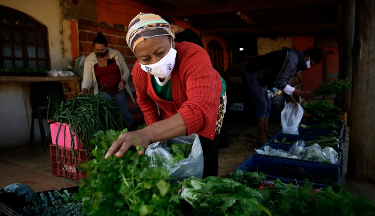 Francisca das Chagas, known as Chiquinha, prepares vegetables to make baskets of agricultural products to be given to poor families in the Canaa rural settlement of Brasilia, Brazil, Sunday, Aug. 2, 2020.