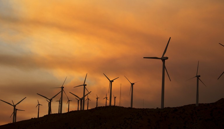 Louisiana announces ESG investigation into major climate fund