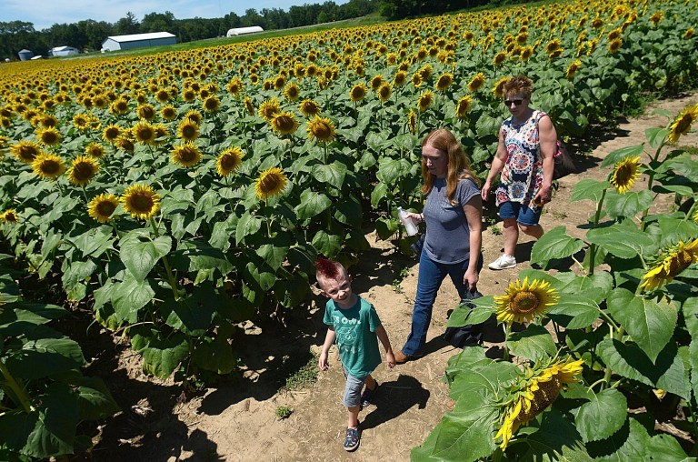 Illinois farm outings could change amid pandemic