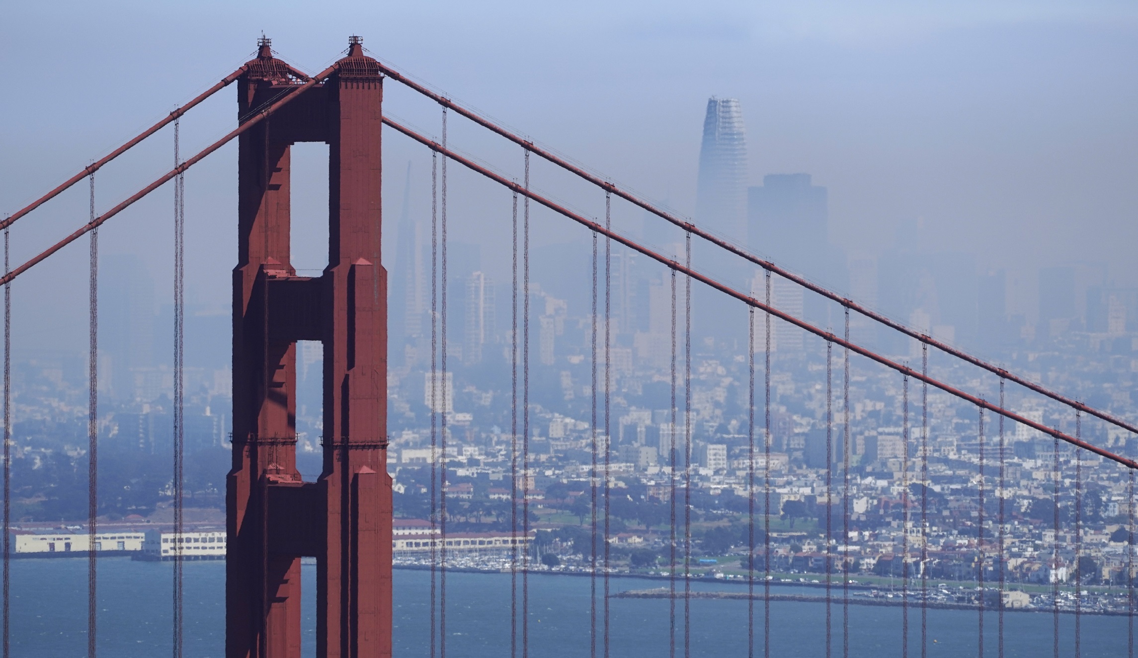 San Francisco DA dismisses killing as a ‘temper tantrum’