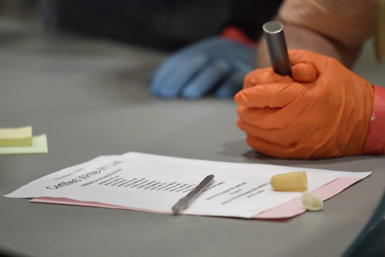 Republicans self-cannibalize in Georgia over Trump’s election fraud venture