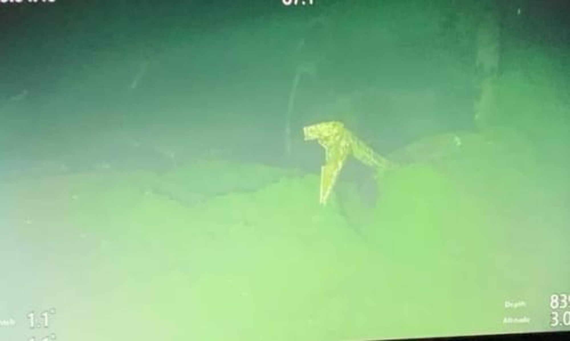 Video shows crew of Indonesian submarine singing farewell song weeks before sinking