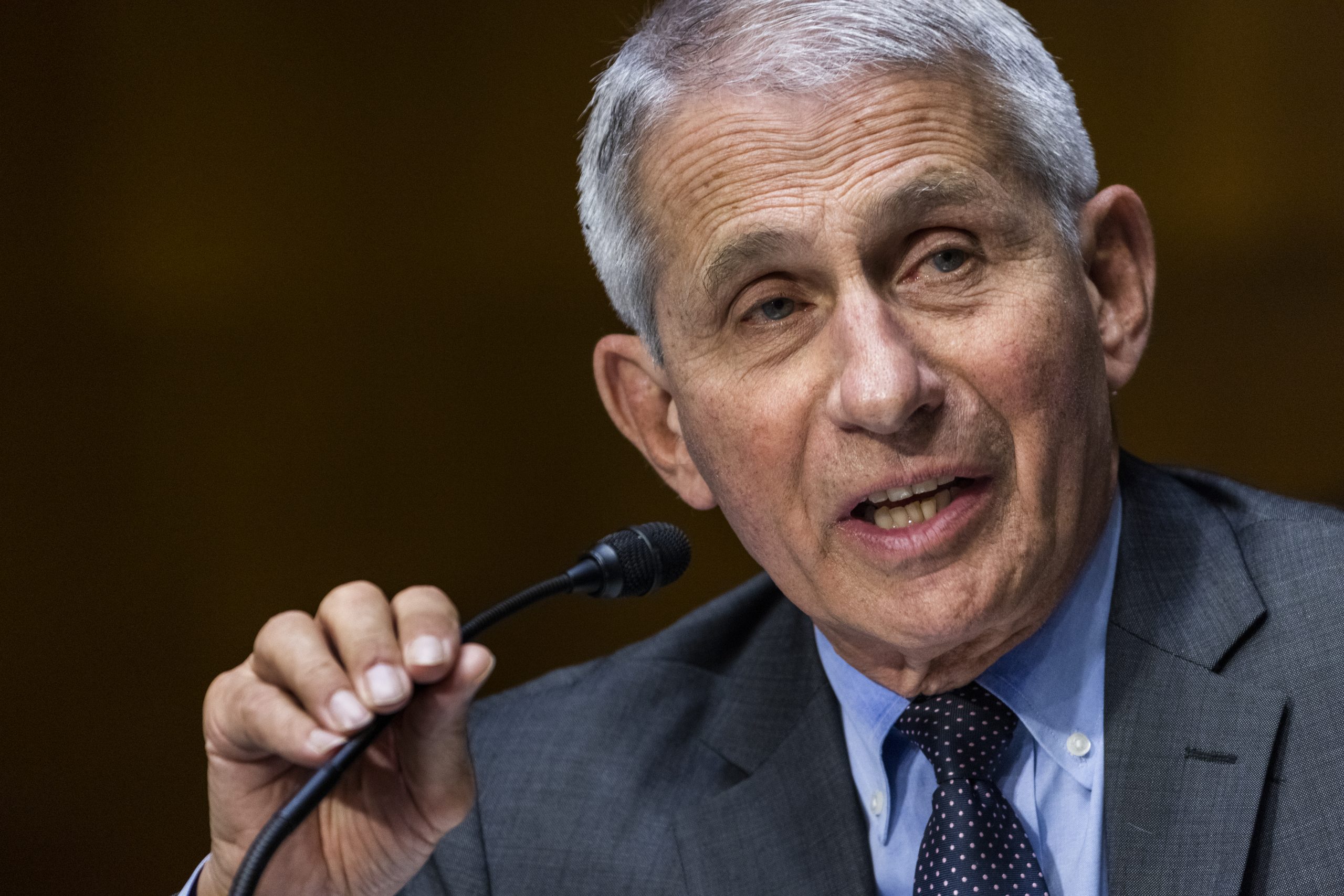 Fauci praises Wuhan scientists and defends funding of bat coronavirus research