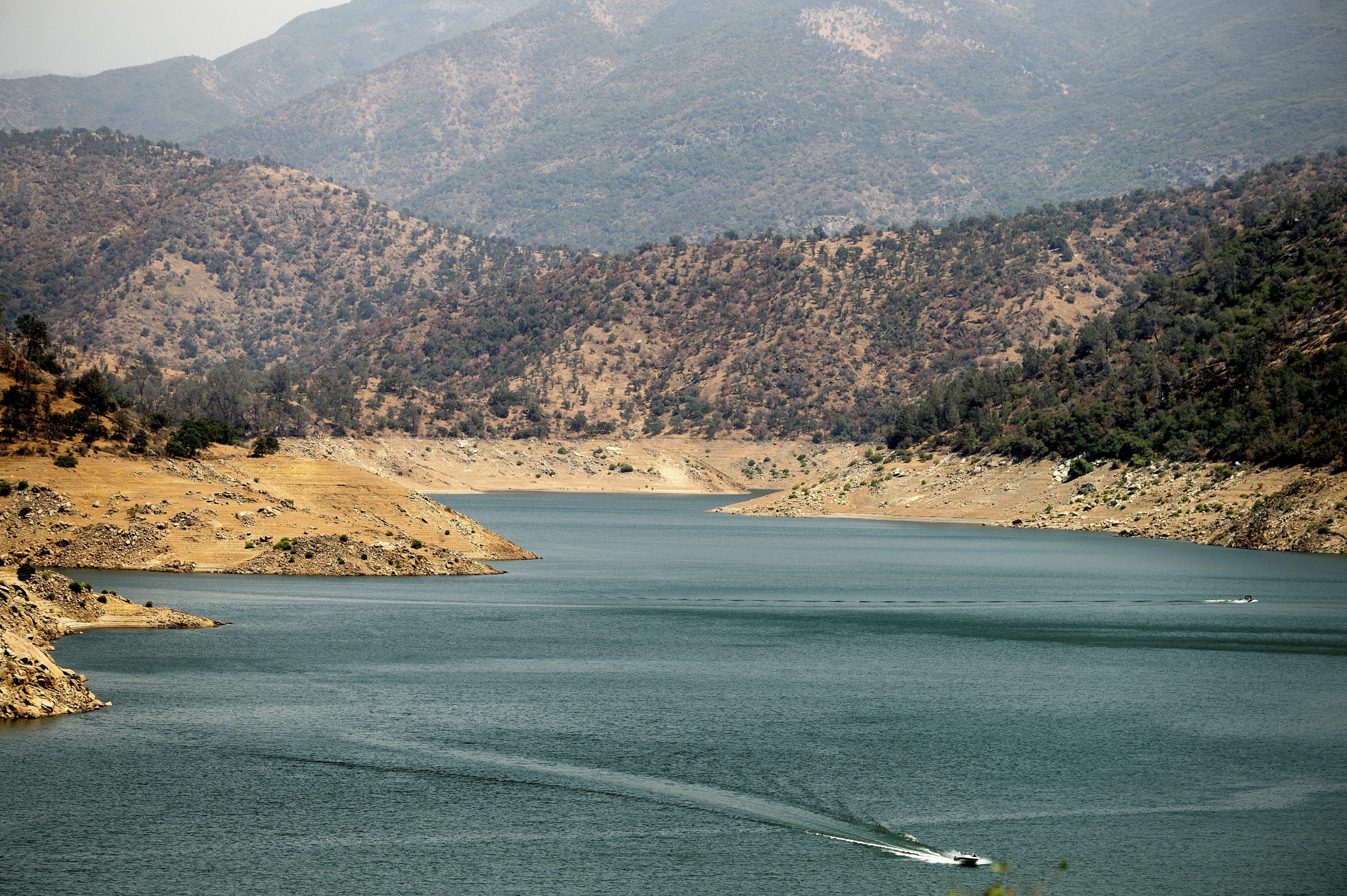 California family found dead in hiking area from possible toxic algae poisoning
