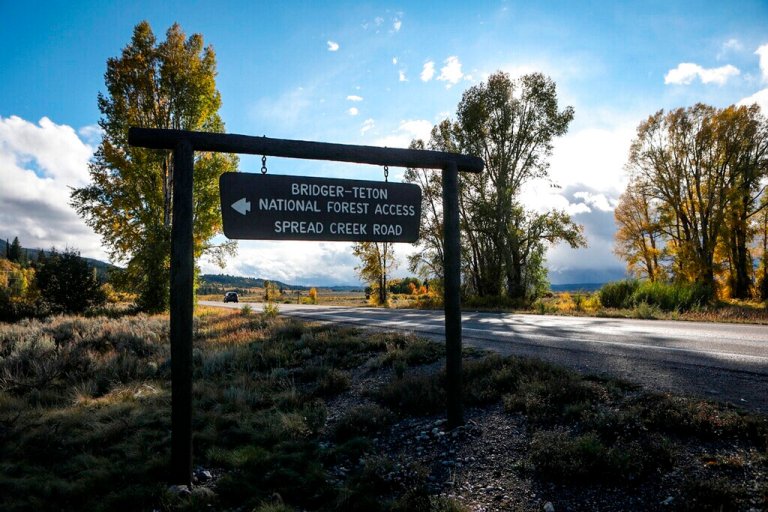 Gabby Petito, Brian Laundrie search leads investigators to remains of missing Texas man