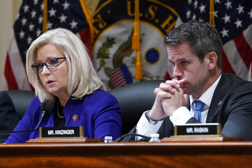 RNC censure resolution against Cheney and Kinzinger advances