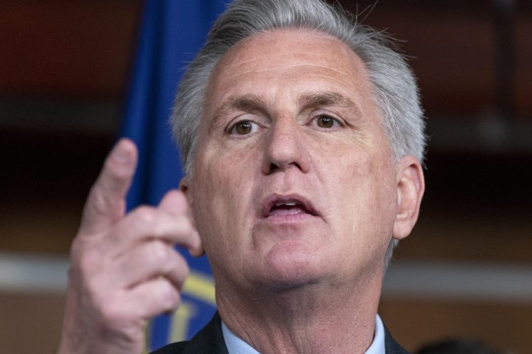 Kevin McCarthy endorses Liz Cheney primary challenger