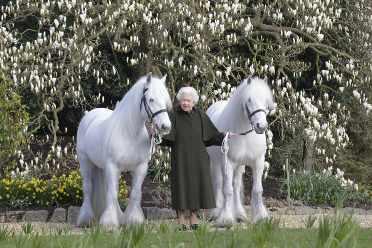 In this photo released by Royal Windsor Horse Show on Wednesday, April 20, 2022, and taken in March 2022, Britain's Queen Elizabeth II poses for a photo with her Fell ponies Bybeck Nightingale, right, and Bybeck Katie on the grounds of Windsor Castle in Windsor. Queen Elizabeth II is marking her 96th birthday privately on Thursday, retreating to the Sandringham estate in eastern England that has offered the monarch and her late husband, Prince Philip, a refuge from the affairs of state. 