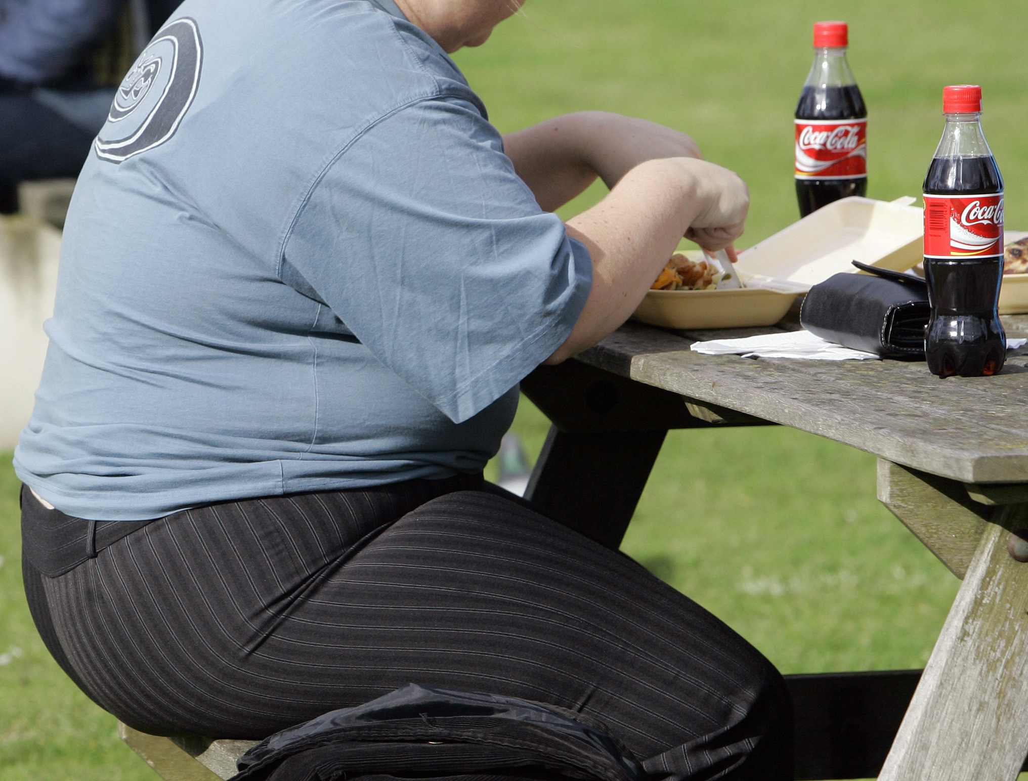 Chicago academics compare fatphobia to racism