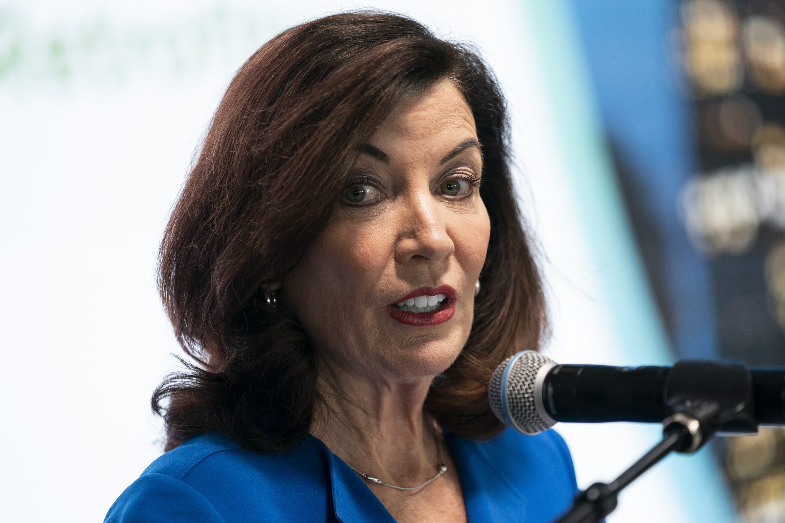 Kathy Hochul’s ‘overbroad’ New York gun law panned by liberals opposing social media registration