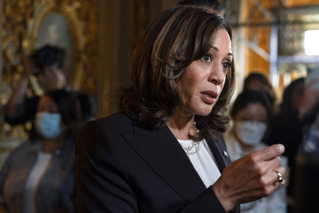 Kamala Harris to meet new UAE leader as US looks to cement and strengthen ties