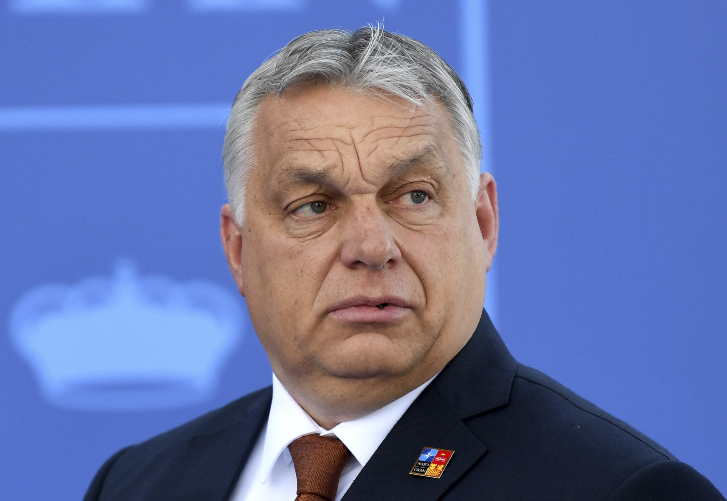 Hungarian prime minister: Countries with ‘race-mixing’ are ‘no longer nations’