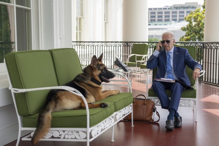 Biden’s dog Commander bit seven people in four months: Report