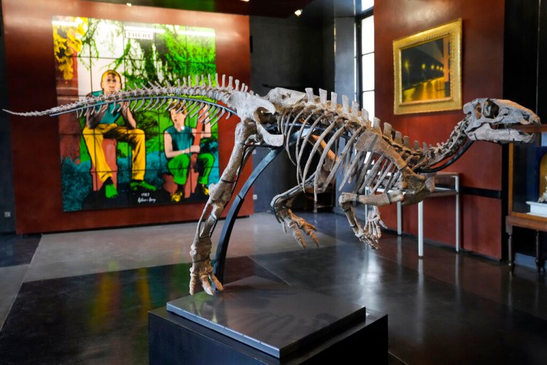 Small dinosaur skeleton to be sold at Paris auction