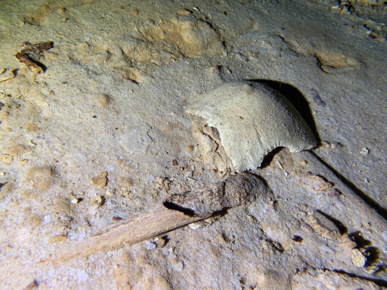 Prehistoric human skeleton found in Mexican underwater cave