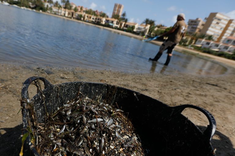 A man collects dead fish that have appeared by the shore of the Isle of Ciervo off La Manga, part of the Mar Menor lagoon in Murcia, Spain.