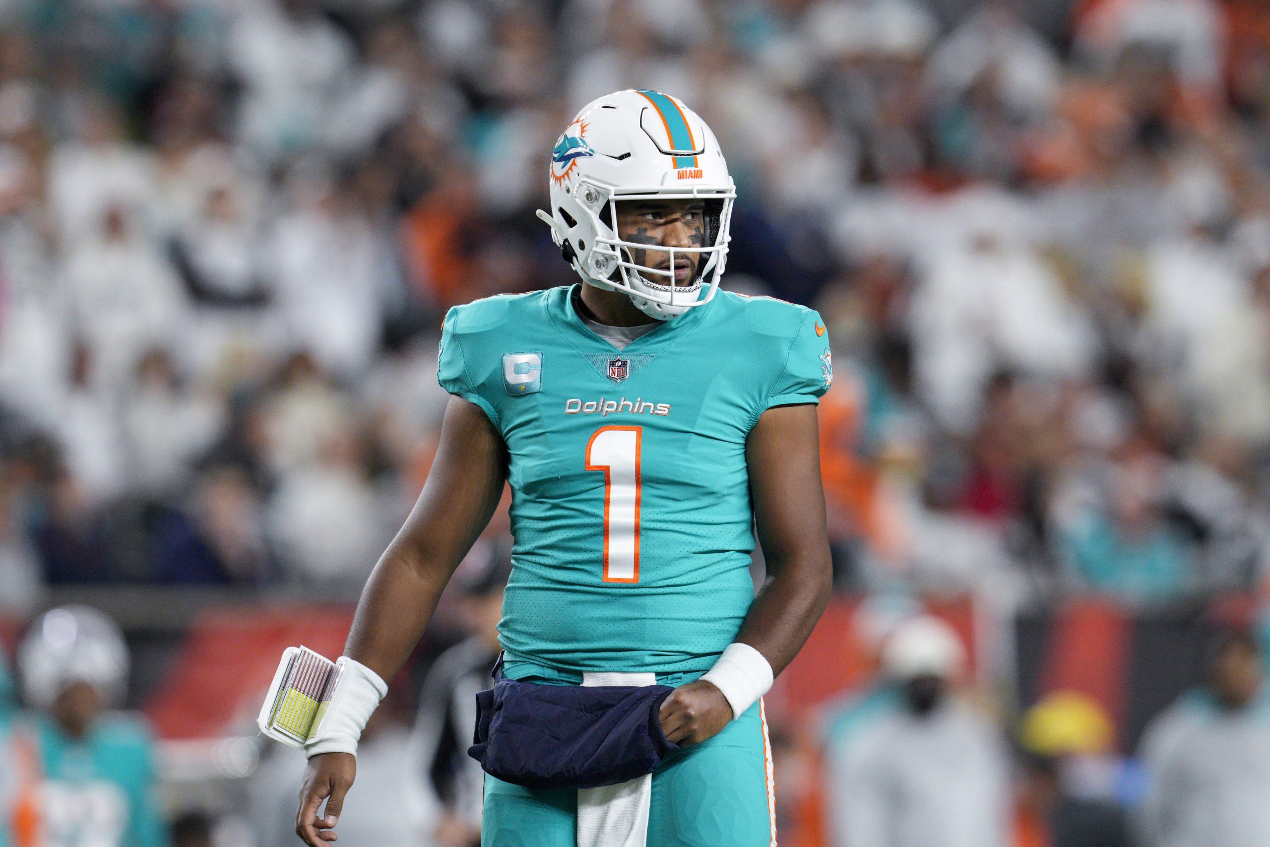 Dolphins Bengals Football