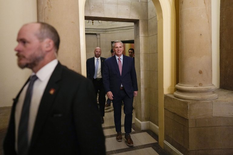 Democrat mocks Kevin McCarthy and attacks Trump on House floor during speaker speech