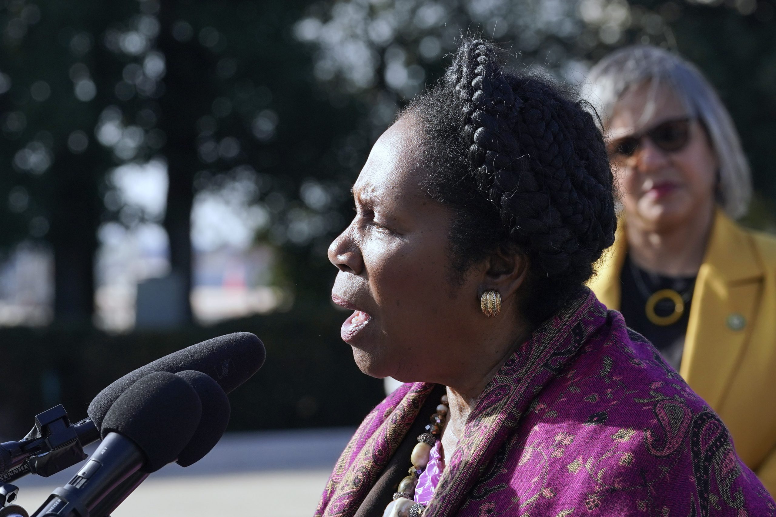 Democrats Gun Violence