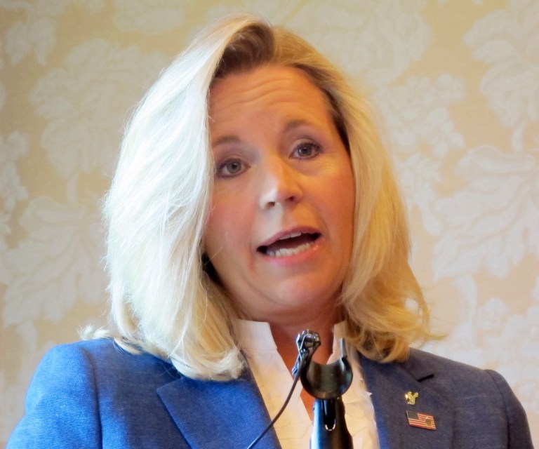 Liz Cheney addresses reporters on Wednesday July 17, at the Little America Hotel in Cheyenne, Wyo. Cheney, daughter of former Vice President Dick Cheney, announced this week she intends to challenge incumbent  Sen. Mike Enzi, R-Wyo. (AP/Ben Neary)