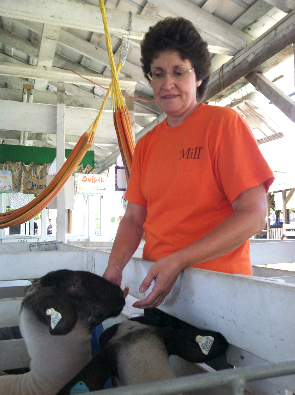 Farm families show off skills at Montgomery County Fair