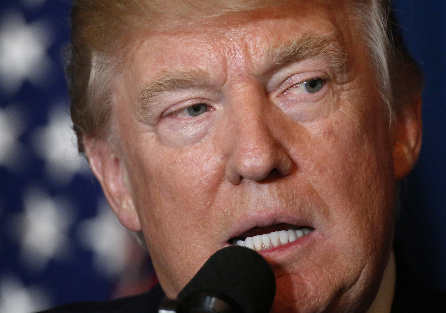 How pro-Trump became a policy position