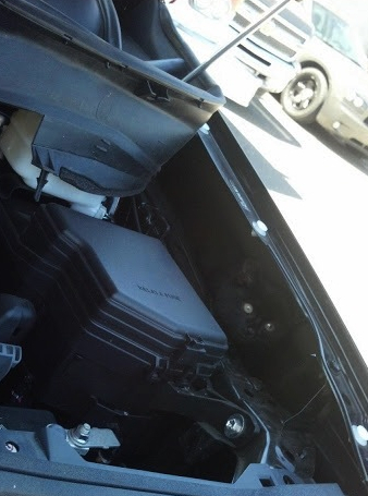 Trapped kitten rescued from under hood of car